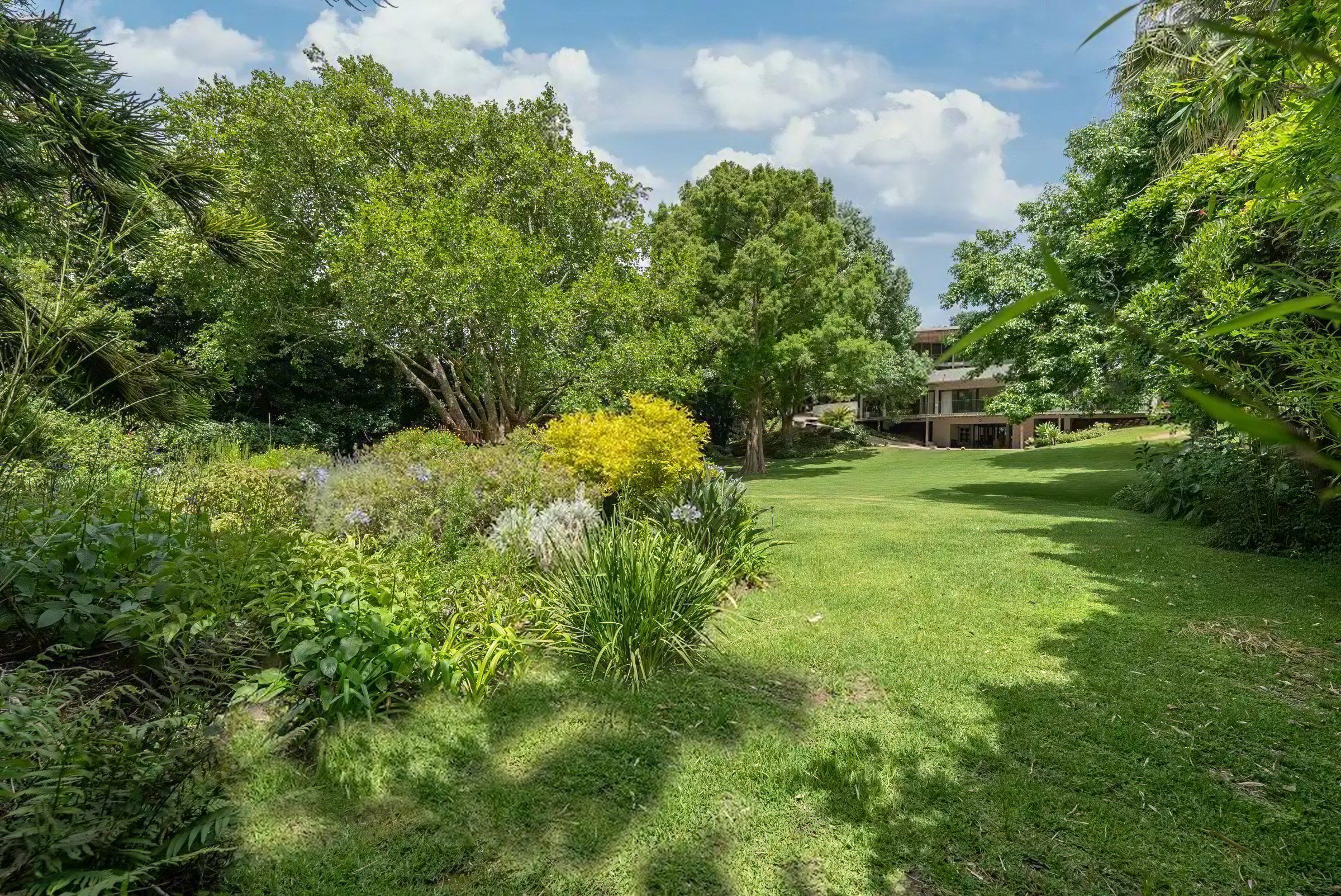 The garden beds and the mountain