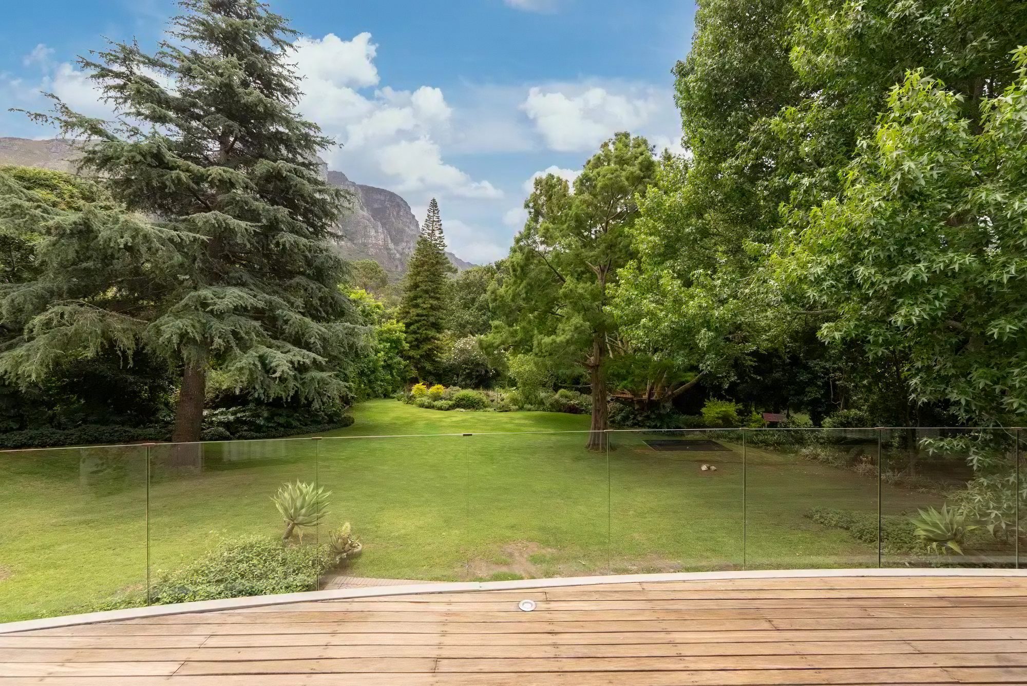 The cedar and the mountain from the deck
