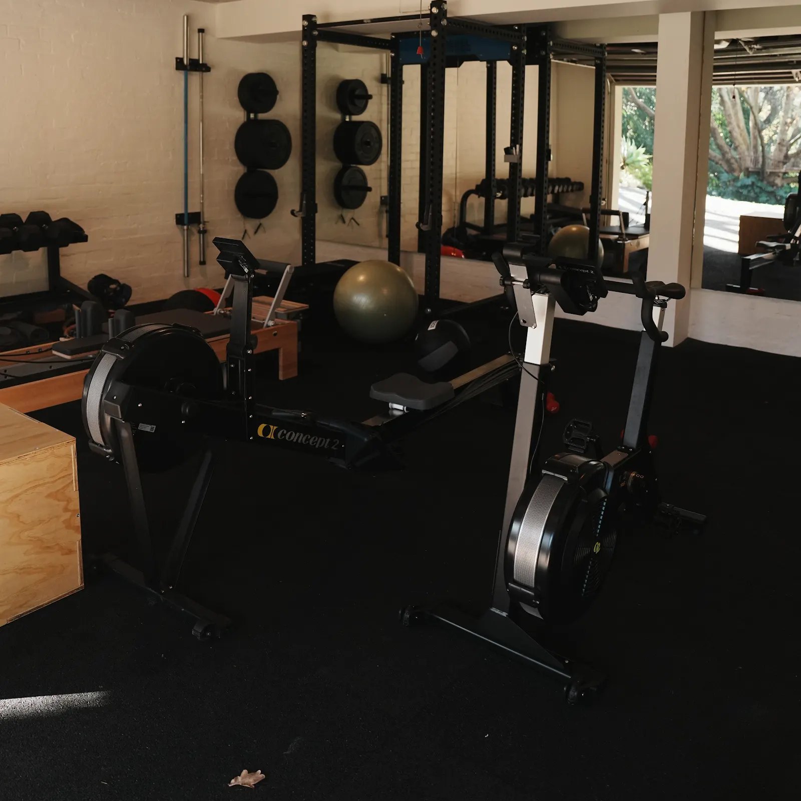The gym